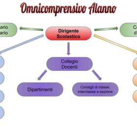 Organigramma